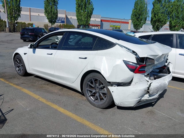 Tesla MODEL 3 2021 5YJ3E1EA7MF868428 Image 3