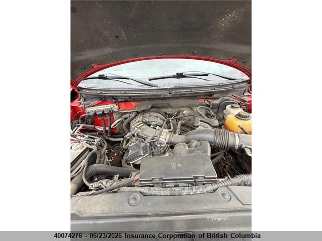 40074276 :رقم المزاد ، 1FTEX1EM8DFC98884 vin ، 2013 Ford F150 مزاد بيع