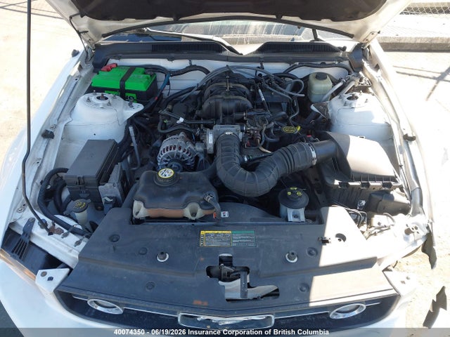 Продажа на аукционе авто 2006 Ford Mustang, vin: 1ZVFT84N465213192, номер лота: 40074350