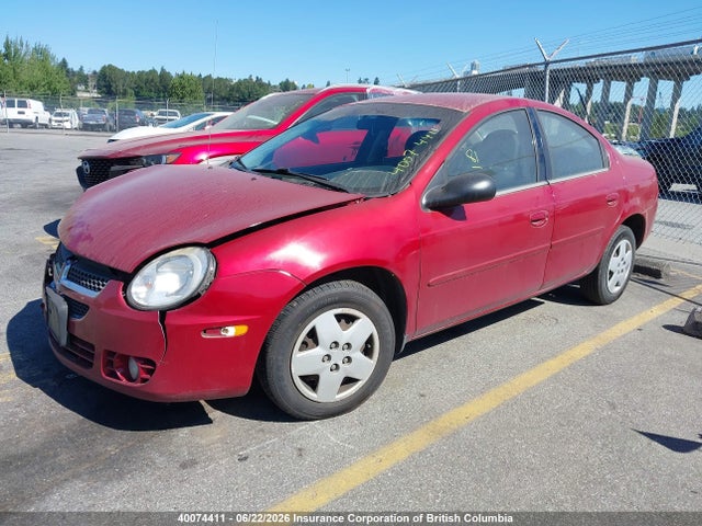 2004 Dodge Neon Sx 2.0 მანქანა იყიდება აუქციონზე, vin: 1B3ES46C34D638915, აუქციონის ნომერი: 40074411