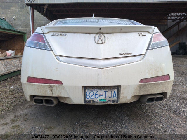 40074477 :رقم المزاد ، 19UUA9E55AA800152 vin ، 2010 Acura Tl مزاد بيع