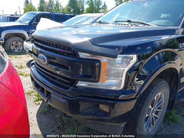 40050272 :رقم المزاد ، 1FTFW1E46KFB07788 vin ، 2019 Ford F150 Supercrew مزاد بيع