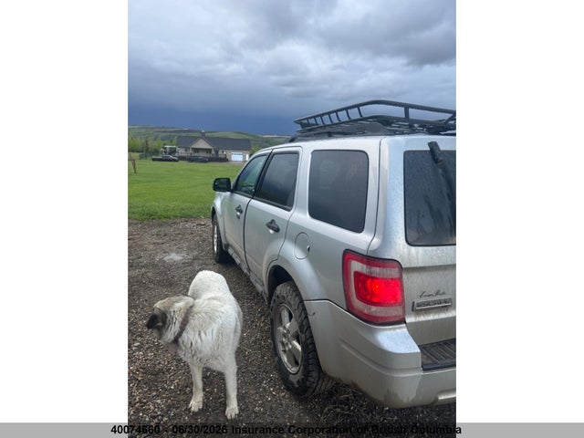 2010 Ford Escape Xlt მანქანა იყიდება აუქციონზე, vin: 1FMCU9DG4AKC74185, აუქციონის ნომერი: 40074660