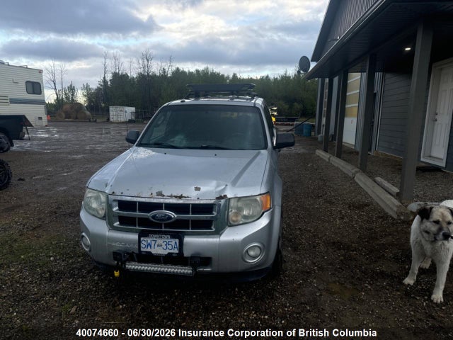 2010 Ford Escape Xlt მანქანა იყიდება აუქციონზე, vin: 1FMCU9DG4AKC74185, აუქციონის ნომერი: 40074660