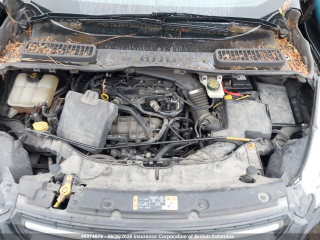 Ford ESCAPE SE 2014 1FMCU9GXXEUE30140 Image 10