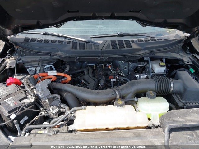 40074844 :رقم المزاد ، 1FTFW3LD7RFA02766 vin ، 2024 Ford F150 مزاد بيع