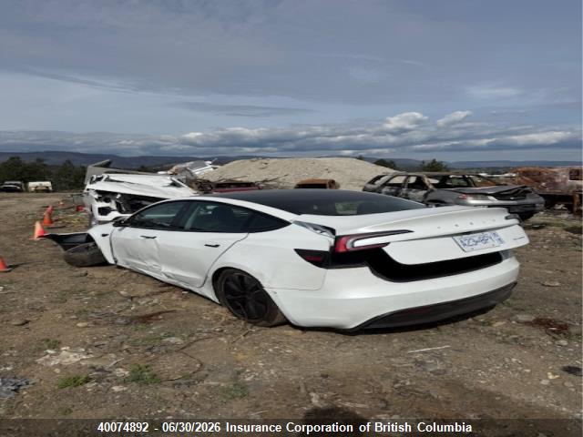 Tesla MODEL 3 2024 LRW3E7EB0RC239302 Image 3
