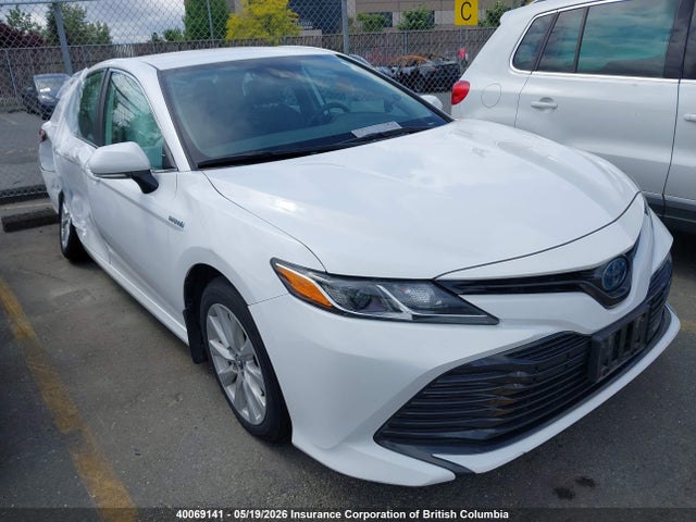 40069141 :رقم المزاد ، 4T1B31HK6KU515748 vin ، 2019 Toyota Camry Le مزاد بيع