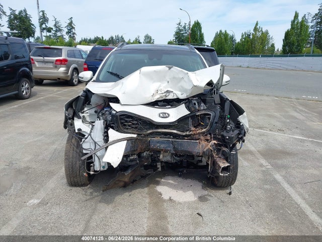 Auction sale of the 2021 Kia Sportage Ex, vin: KNDPNCAC7M7879763, lot number: 40074125