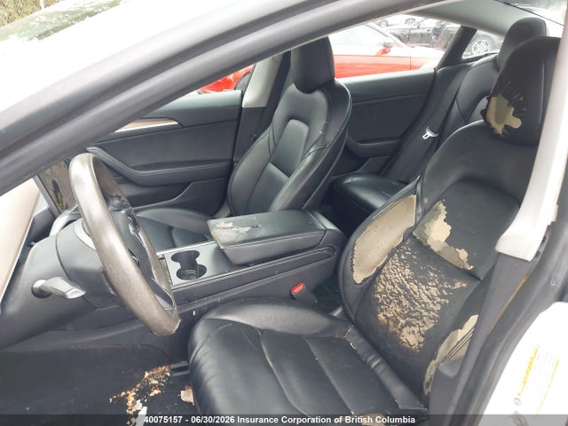 Tesla MODEL 3 2021 5YJ3E1EA6MF994537 Image 21