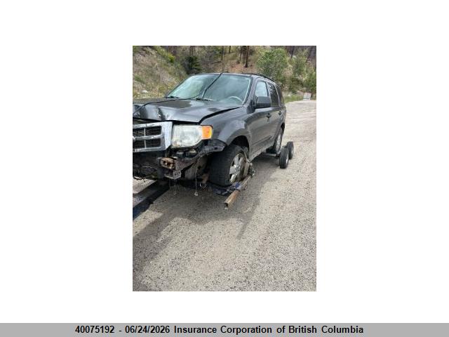 2010 Ford Escape Xlt მანქანა იყიდება აუქციონზე, vin: 1FMCU9DG5AKC86541, აუქციონის ნომერი: 40075192