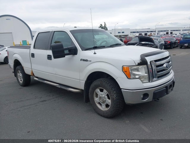 40075251 :رقم المزاد ، 1FTFW1EF3BFB86211 vin ، 2011 Ford F150 مزاد بيع