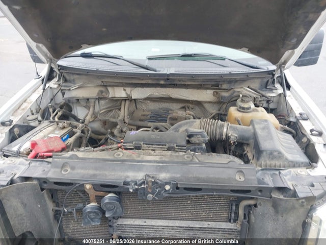 40075251 :رقم المزاد ، 1FTFW1EF3BFB86211 vin ، 2011 Ford F150 مزاد بيع