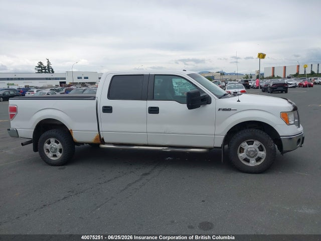 40075251 :رقم المزاد ، 1FTFW1EF3BFB86211 vin ، 2011 Ford F150 مزاد بيع