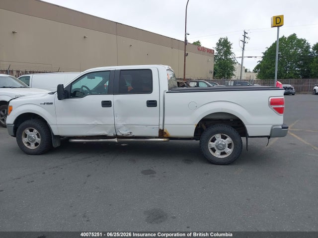 40075251 :رقم المزاد ، 1FTFW1EF3BFB86211 vin ، 2011 Ford F150 مزاد بيع