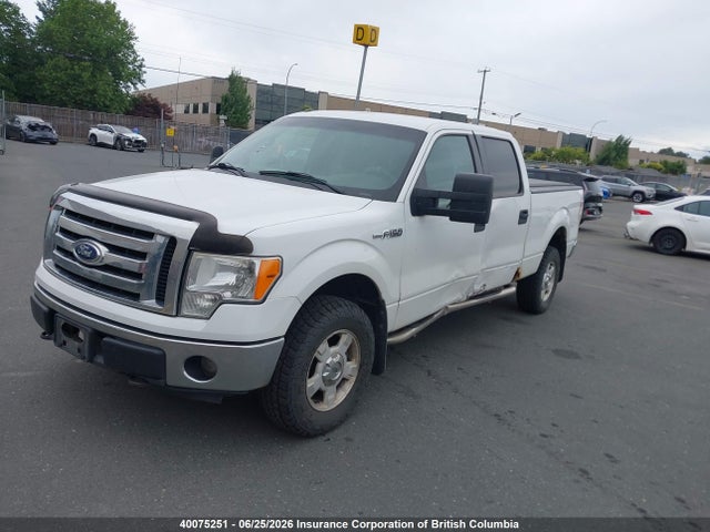 40075251 :رقم المزاد ، 1FTFW1EF3BFB86211 vin ، 2011 Ford F150 مزاد بيع