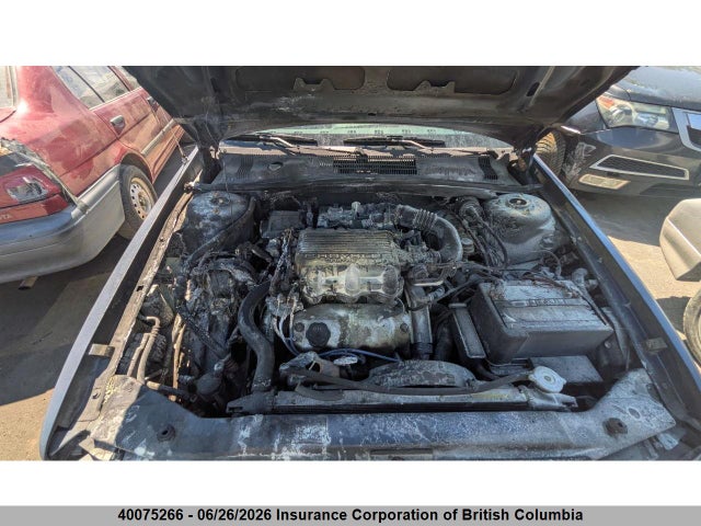 40075266 :رقم المزاد ، 1B3BA4630MF671297 vin ، 1991 Dodge Spirit مزاد بيع