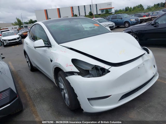 Auction sale of the 2020 Tesla Model Y Long Range, vin: 5YJYGDEE0LF017185, lot number: 40075290
