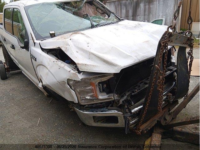 40075308 :رقم المزاد ، 1FTEW1E55KKC94100 vin ، 2019 Ford F150 مزاد بيع
