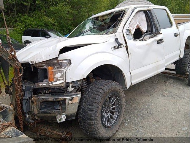 40075308 :رقم المزاد ، 1FTEW1E55KKC94100 vin ، 2019 Ford F150 مزاد بيع