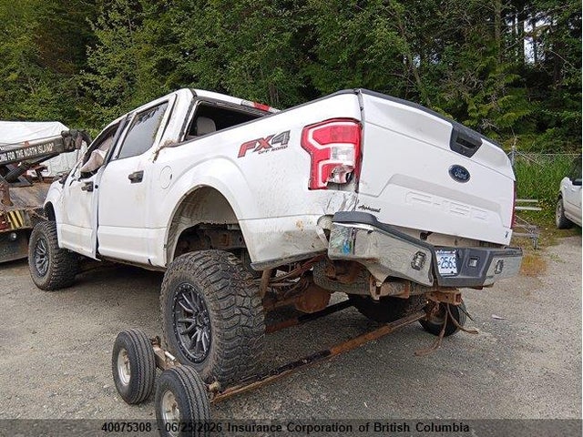 40075308 :رقم المزاد ، 1FTEW1E55KKC94100 vin ، 2019 Ford F150 مزاد بيع