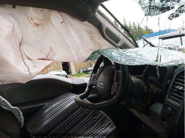 40075308 :رقم المزاد ، 1FTEW1E55KKC94100 vin ، 2019 Ford F150 مزاد بيع