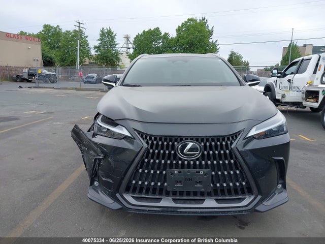 40075334 :رقم المزاد ، 2T2GGCEZ1RC045160 vin ، 2024 Lexus Nx 350 مزاد بيع