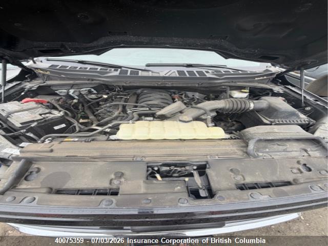 Auction sale of the 2024 Ford F150, vin: 1FTFW3L51RKD84499, lot number: 40075359