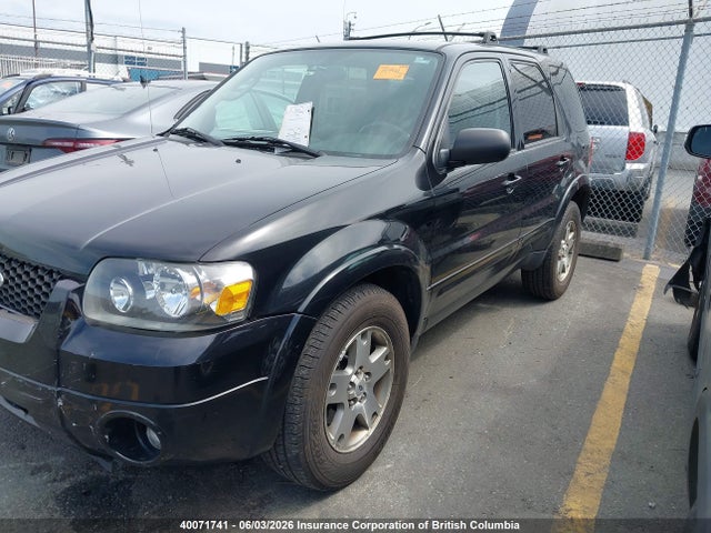 40071741 :رقم المزاد ، 1FMCU94185KA29939 vin ، 2005 Ford Escape Limited مزاد بيع