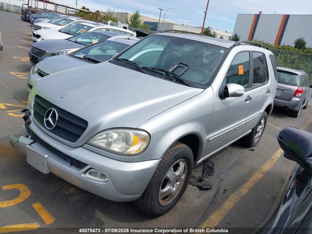 2002 Mercedes-benz Ml 320 მანქანა იყიდება აუქციონზე, vin: 4JGAB54E22A313495, აუქციონის ნომერი: 40075473