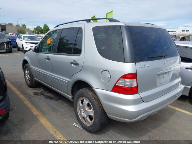 2002 Mercedes-benz Ml 320 მანქანა იყიდება აუქციონზე, vin: 4JGAB54E22A313495, აუქციონის ნომერი: 40075473