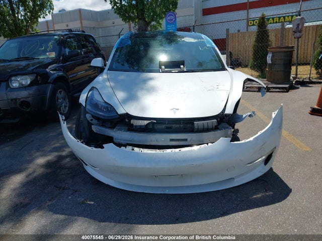 40075545 :رقم المزاد ، LRW3E1FA8PC891763 vin ، 2023 Tesla Model 3 مزاد بيع
