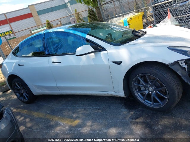 40075545 :رقم المزاد ، LRW3E1FA8PC891763 vin ، 2023 Tesla Model 3 مزاد بيع