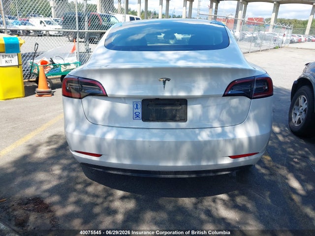 40075545 :رقم المزاد ، LRW3E1FA8PC891763 vin ، 2023 Tesla Model 3 مزاد بيع