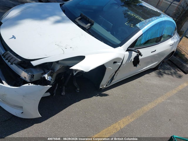 40075545 :رقم المزاد ، LRW3E1FA8PC891763 vin ، 2023 Tesla Model 3 مزاد بيع