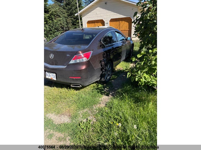 40075564 :رقم المزاد ، 19UUA8F23CA800068 vin ، 2012 Acura Tl مزاد بيع