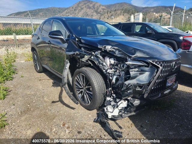 Aukcja sprzedaży 2025 Lexus Nx 450h Luxury/450h F Sport, vin: JTJHKCFZXS2044581, numer aukcji: 40075570