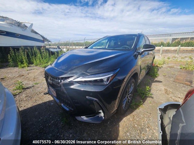 40075570 :رقم المزاد ، JTJHKCFZXS2044581 vin ، 2025 Lexus Nx 450h Luxury/450h F Sport مزاد بيع