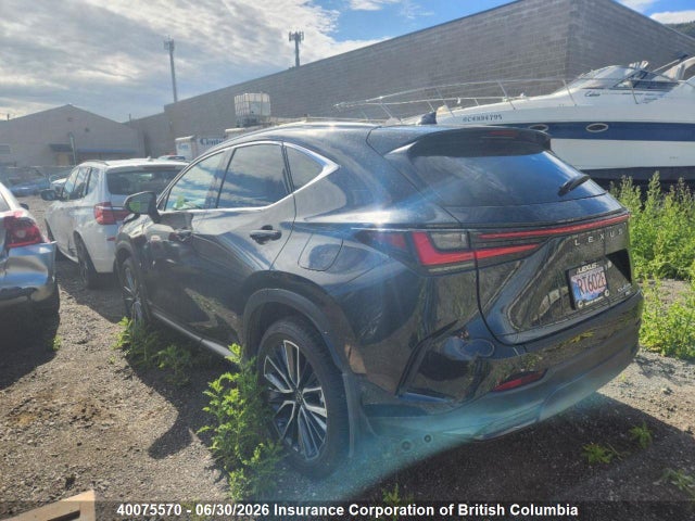 Auction sale of the 2025 Lexus Nx 450h Luxury/450h F Sport, vin: JTJHKCFZXS2044581, lot number: 40075570