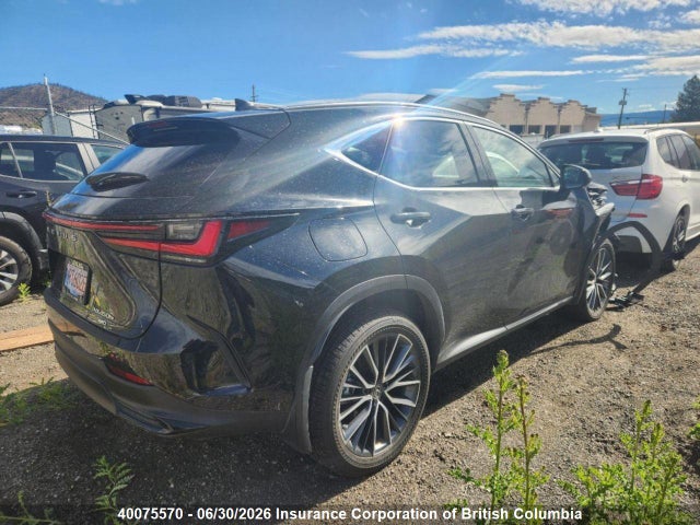 40075570 :رقم المزاد ، JTJHKCFZXS2044581 vin ، 2025 Lexus Nx 450h Luxury/450h F Sport مزاد بيع