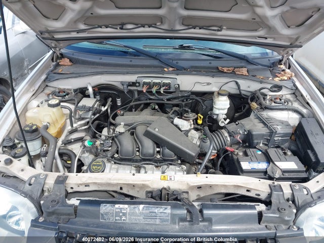 2007 Ford Escape Xlt მანქანა იყიდება აუქციონზე, vin: 1FMYU03197KA01010, აუქციონის ნომერი: 40072402