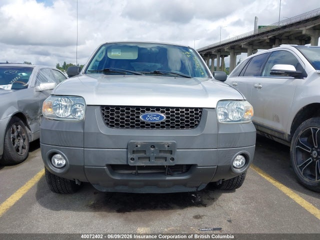 2007 Ford Escape Xlt მანქანა იყიდება აუქციონზე, vin: 1FMYU03197KA01010, აუქციონის ნომერი: 40072402