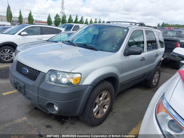 2007 Ford Escape Xlt მანქანა იყიდება აუქციონზე, vin: 1FMYU03197KA01010, აუქციონის ნომერი: 40072402