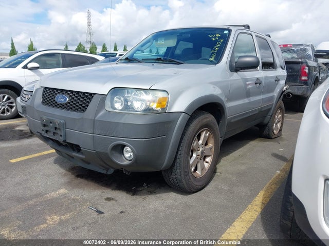 2007 Ford Escape Xlt მანქანა იყიდება აუქციონზე, vin: 1FMYU03197KA01010, აუქციონის ნომერი: 40072402