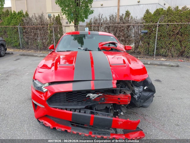 2021 Ford Mustang Ecoboost/ecoboost Premium მანქანა იყიდება აუქციონზე, vin: 1FA6P8TH2M5124999, აუქციონის ნომერი: 40075636