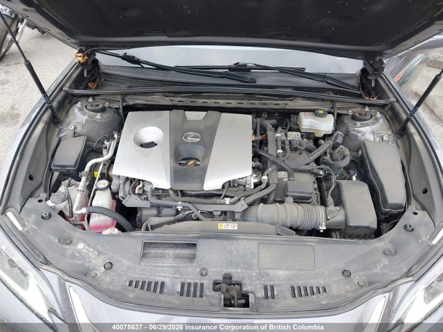 Aukcja sprzedaży 2020 Lexus Es 300h Signature, vin: 58AB21B10LU005540, numer aukcji: 40075637