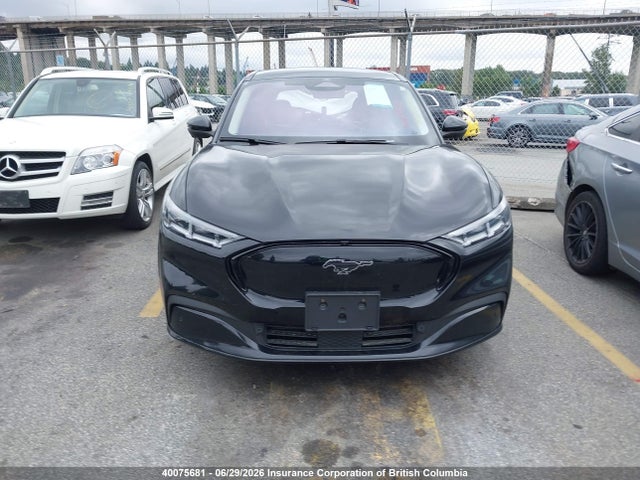 2021 Ford Mustang Mach-e Premium მანქანა იყიდება აუქციონზე, vin: 3FMTK3SU1MMA55337, აუქციონის ნომერი: 40075681