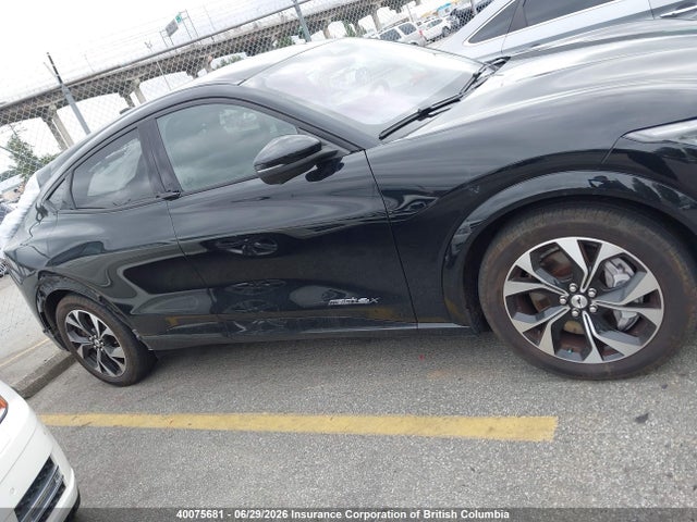 2021 Ford Mustang Mach-e Premium მანქანა იყიდება აუქციონზე, vin: 3FMTK3SU1MMA55337, აუქციონის ნომერი: 40075681