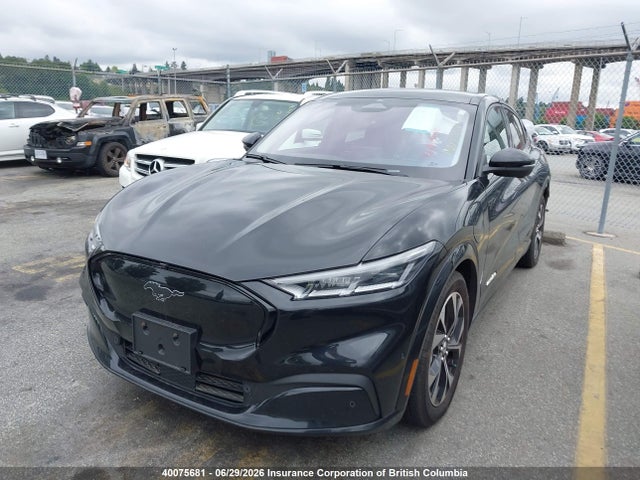 2021 Ford Mustang Mach-e Premium მანქანა იყიდება აუქციონზე, vin: 3FMTK3SU1MMA55337, აუქციონის ნომერი: 40075681