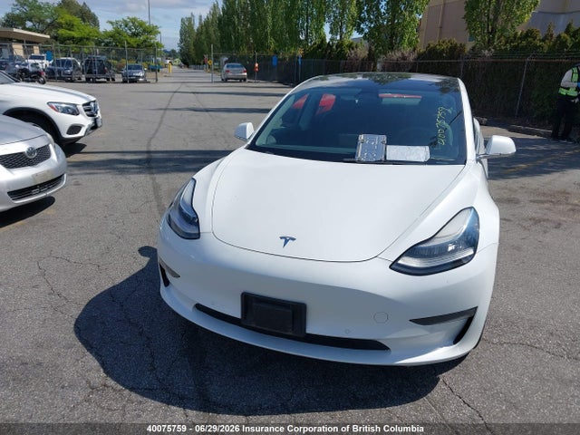 Tesla MODEL 3 2019 5YJ3E1EA9KF529263 Image 13